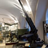  Sproing Pics (29/123)